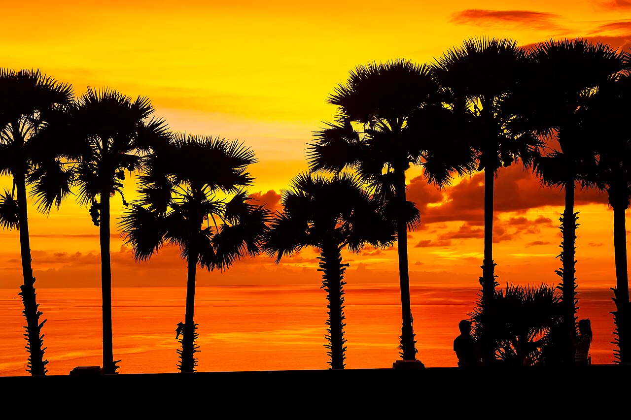 Atardecer entre palmeras en el Cabo Promthep, Phuket